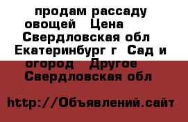 продам рассаду овощей › Цена ­ 10 - Свердловская обл., Екатеринбург г. Сад и огород » Другое   . Свердловская обл.